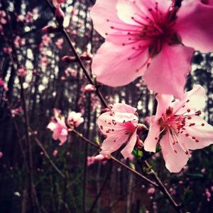 Meet your Posher, Becca